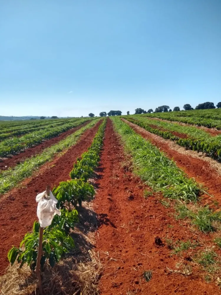 Fazenda, 1 quarto - Foto 3