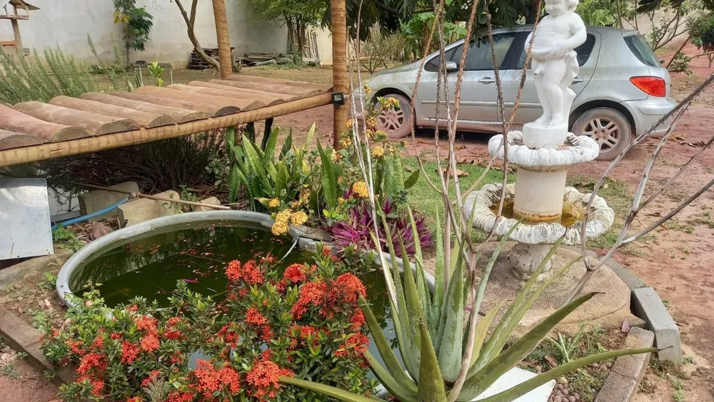 Chácara, 5 quartos - Foto 7