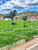Terreno, 523 m² - Foto 4