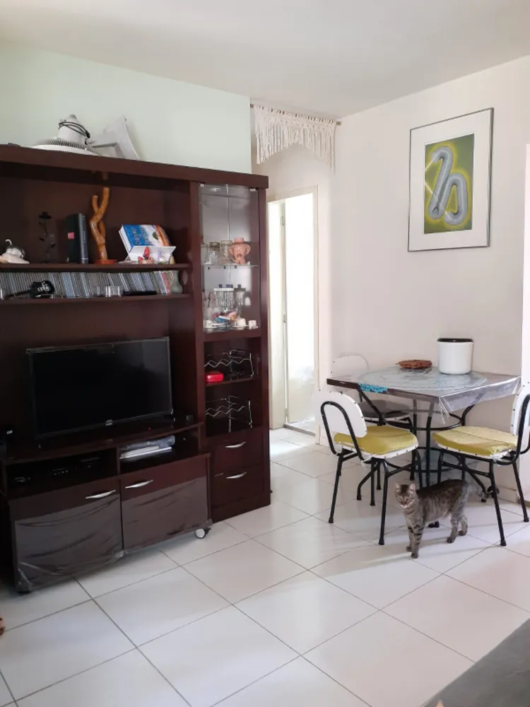 Apartamento, 2 quartos, 50 m² - Foto 3