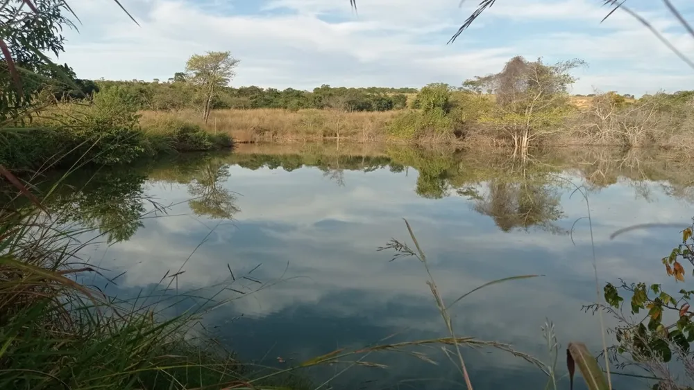 Fazenda, 6 quartos - Foto 5