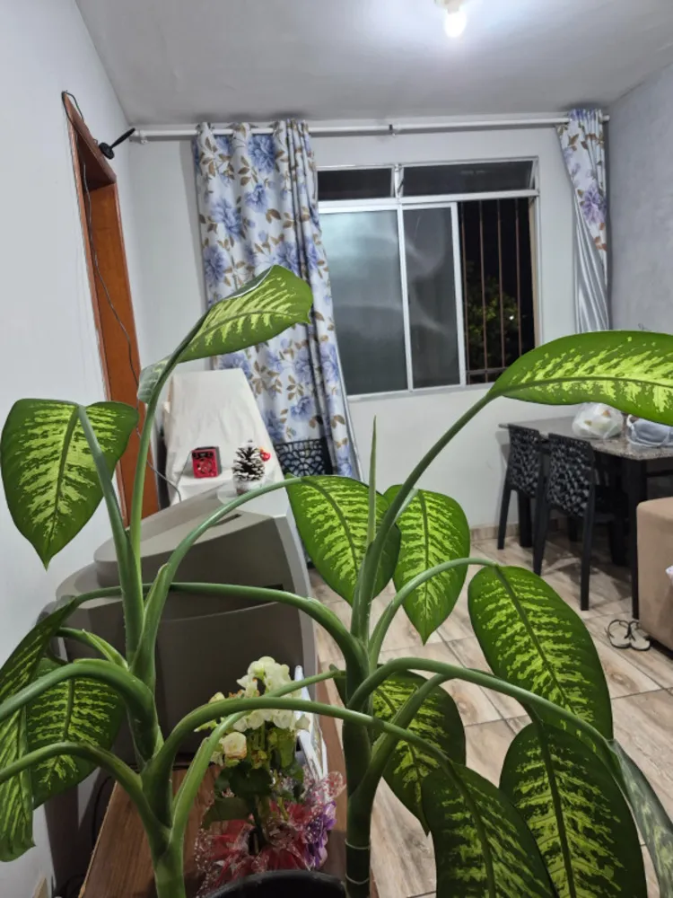 Apartamento, 3 quartos, 57 m² - Foto 20