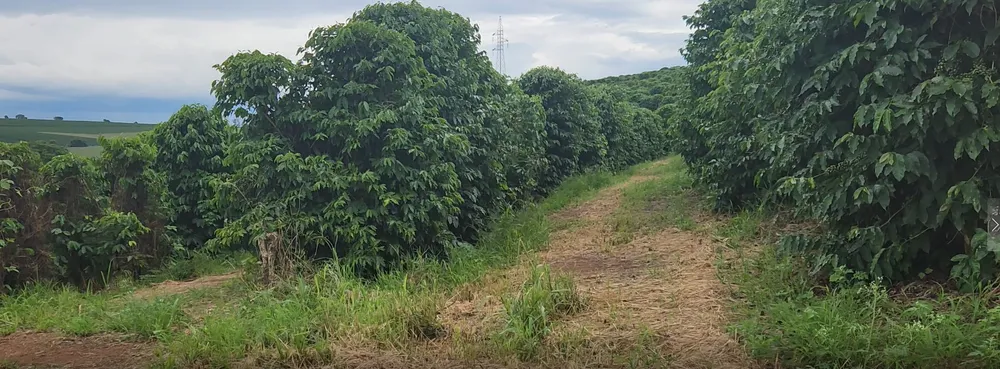 Fazenda, 680 m² - Foto 3