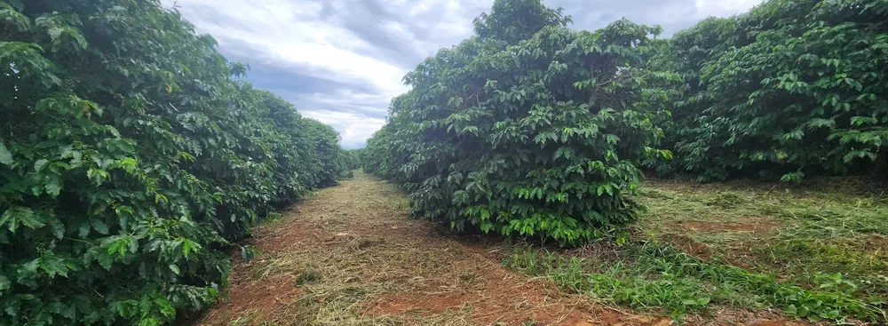 Fazenda, 680 m² - Foto 4
