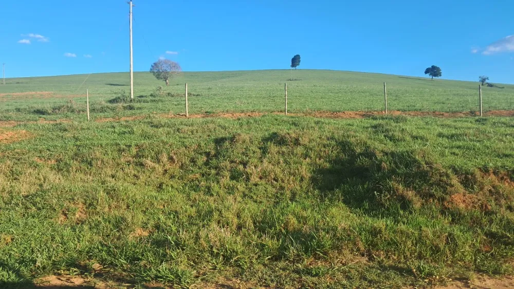 Fazenda, 69 hectares - Foto 1