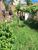 Terreno, 600 m² - Foto 4
