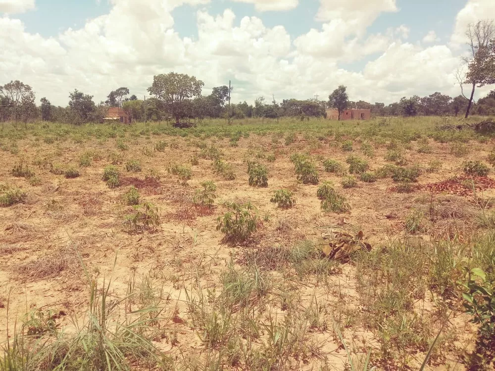 Terreno à venda, 31000m² - Foto 4