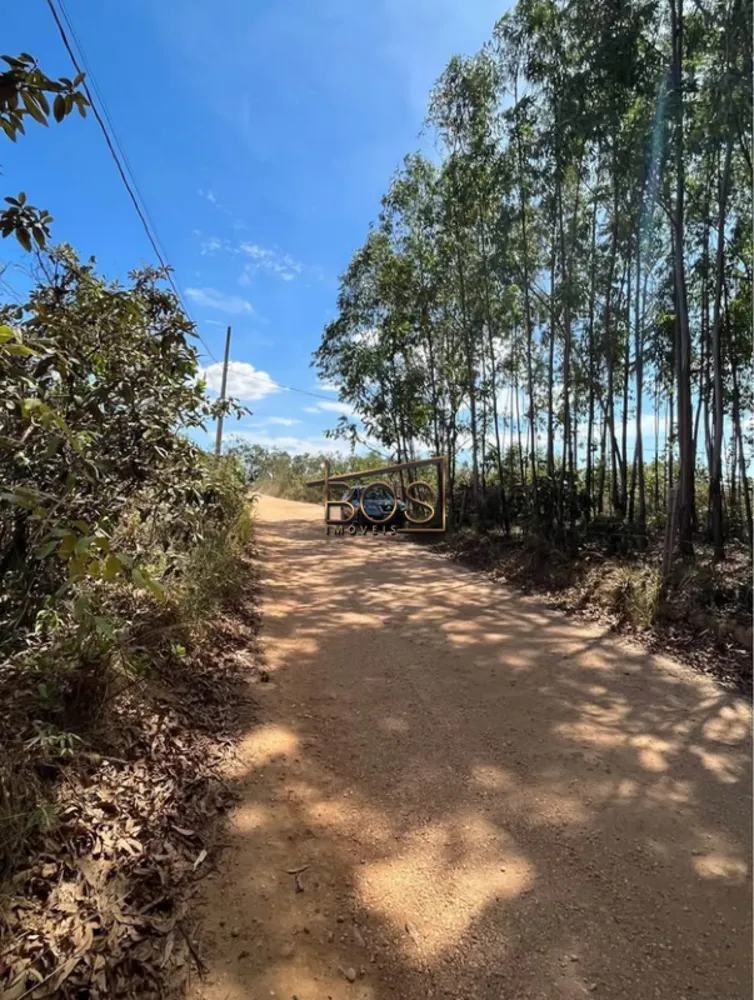Terreno, 2 hectares - Foto 8
