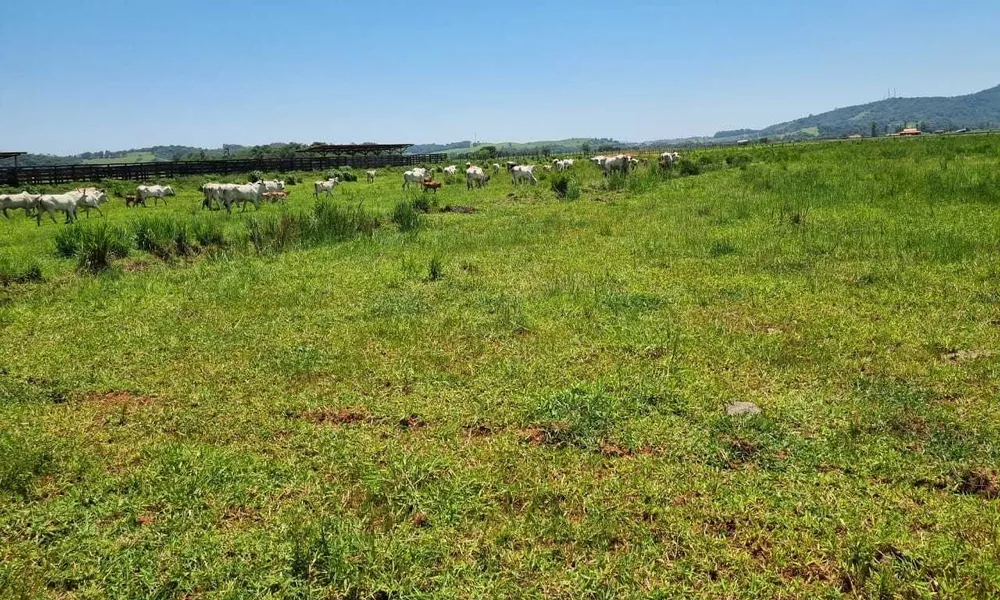 Fazenda, 177 hectares - Foto 7