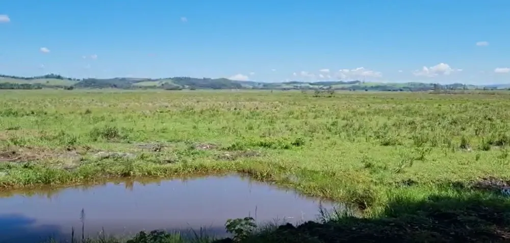 Fazenda, 177 hectares - Foto 12