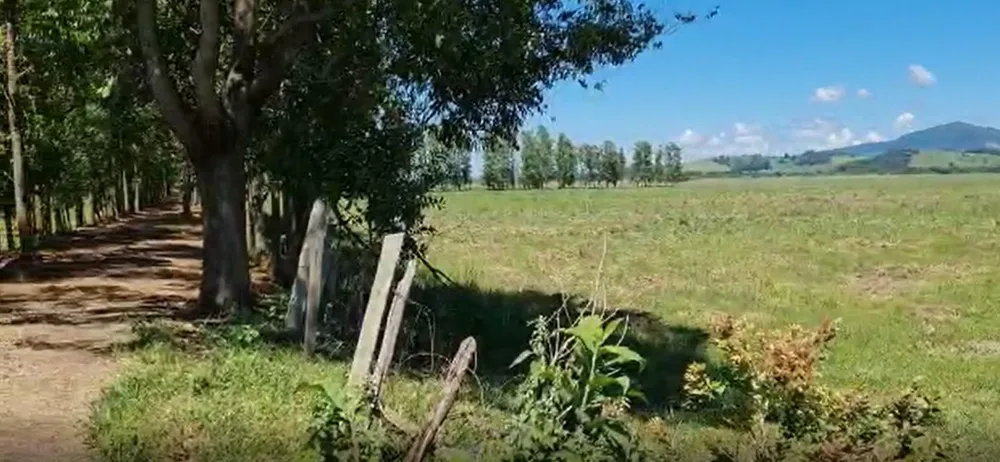 Fazenda, 177 hectares - Foto 14