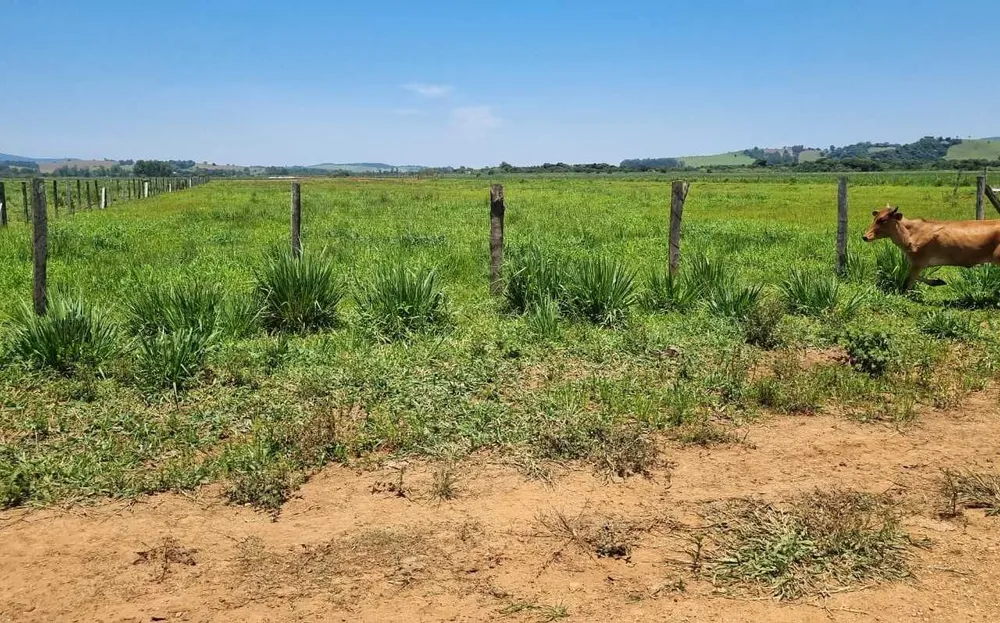 Fazenda, 177 hectares - Foto 5