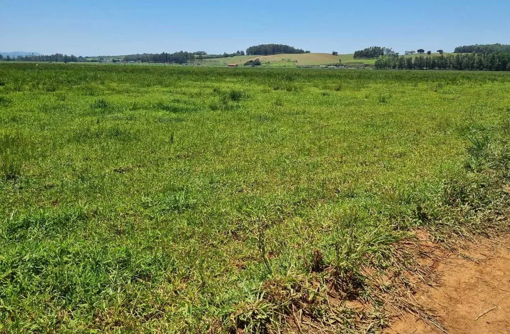 Fazenda, 177 hectares - Foto 6