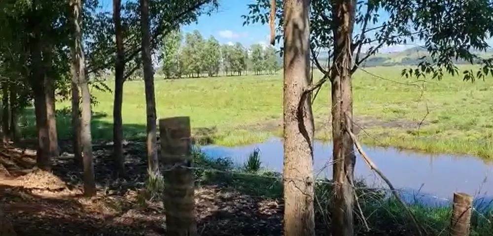 Fazenda, 177 hectares - Foto 3