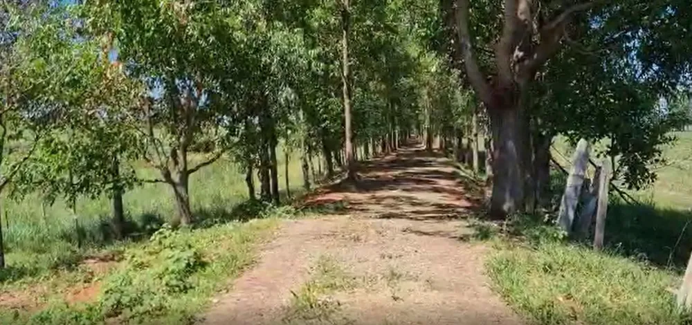 Fazenda, 177 hectares - Foto 12