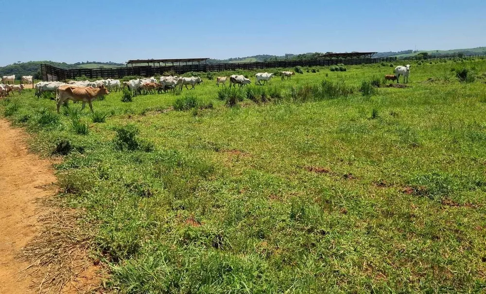Fazenda, 177 hectares - Foto 2