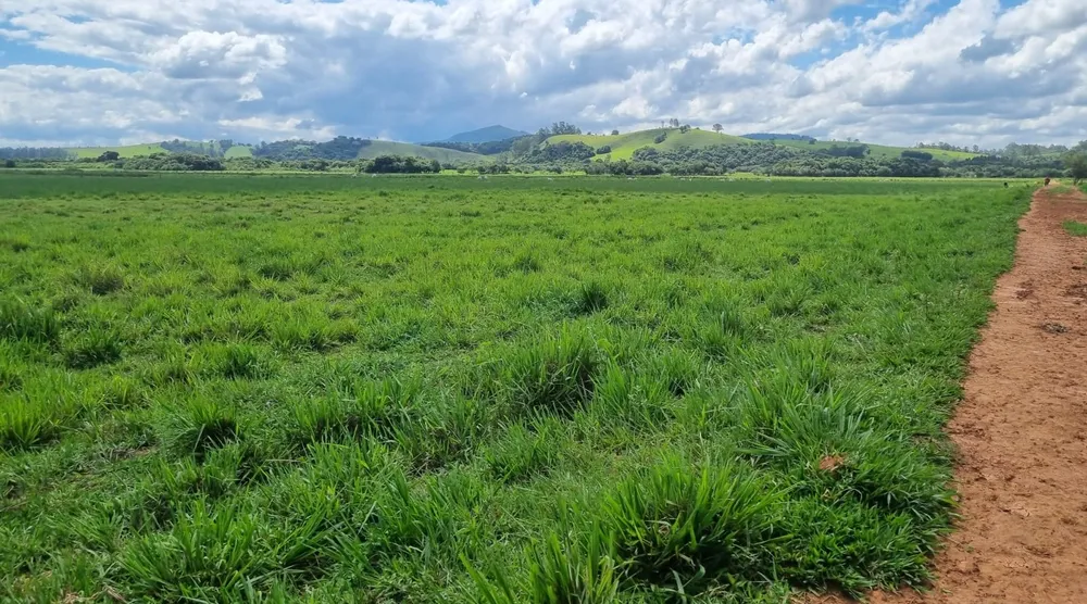 Fazenda, 177 hectares - Foto 4