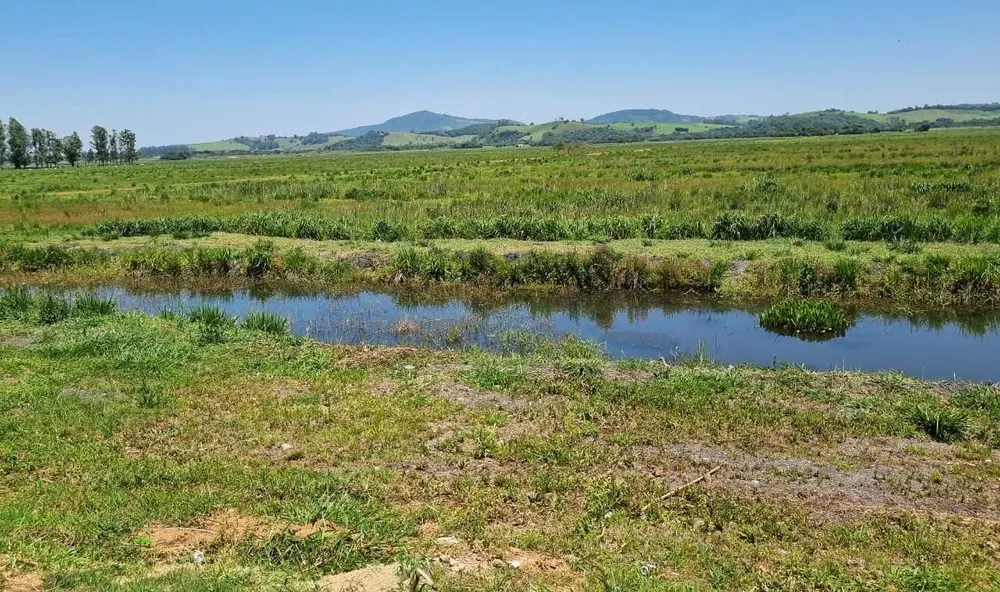 Fazenda, 177 hectares - Foto 1