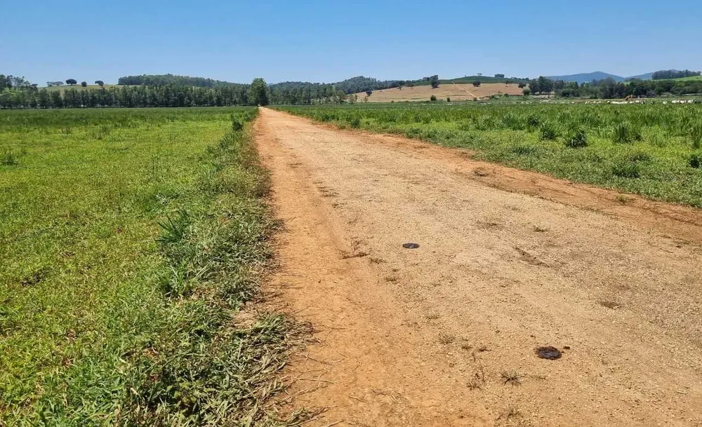 Fazenda, 177 hectares - Foto 16