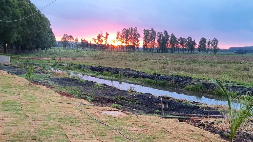 Fazenda, 177 hectares - Foto 13