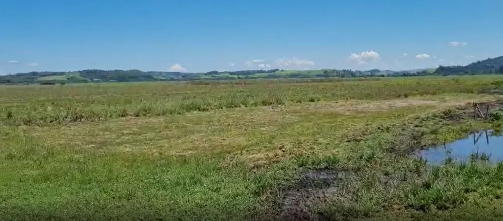 Fazenda, 177 hectares - Foto 8