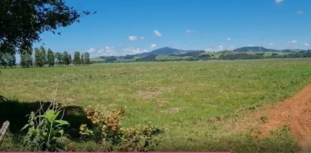 Fazenda, 177 hectares - Foto 8