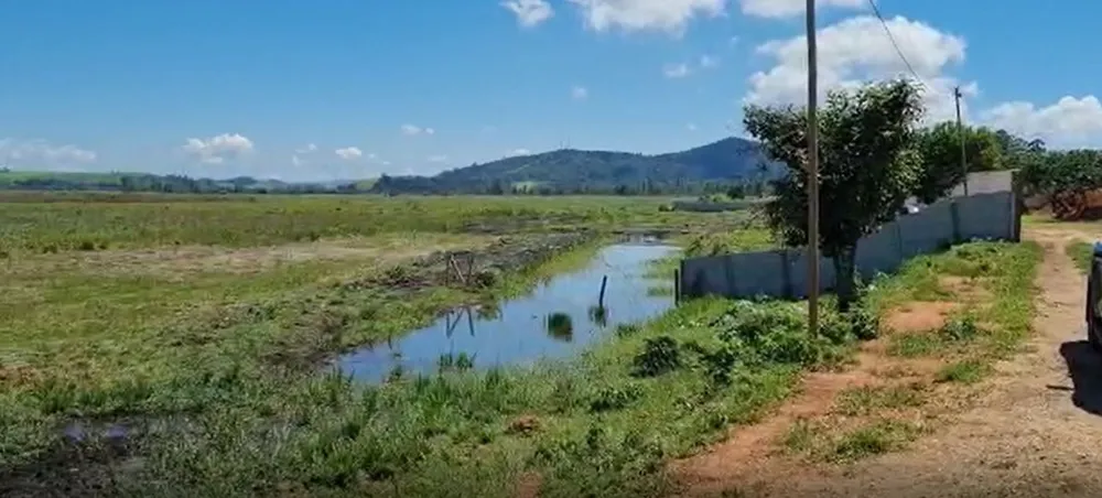 Fazenda, 177 hectares - Foto 11