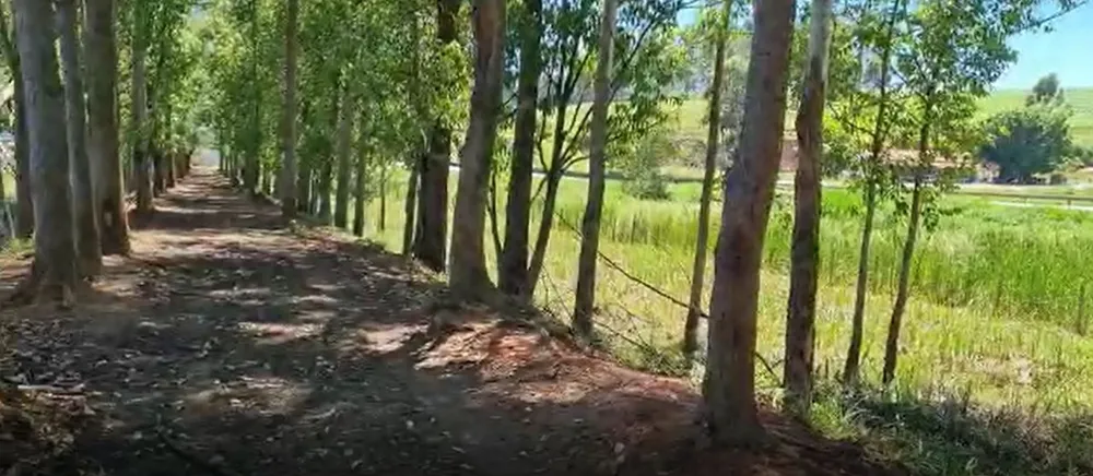 Fazenda, 177 hectares - Foto 9