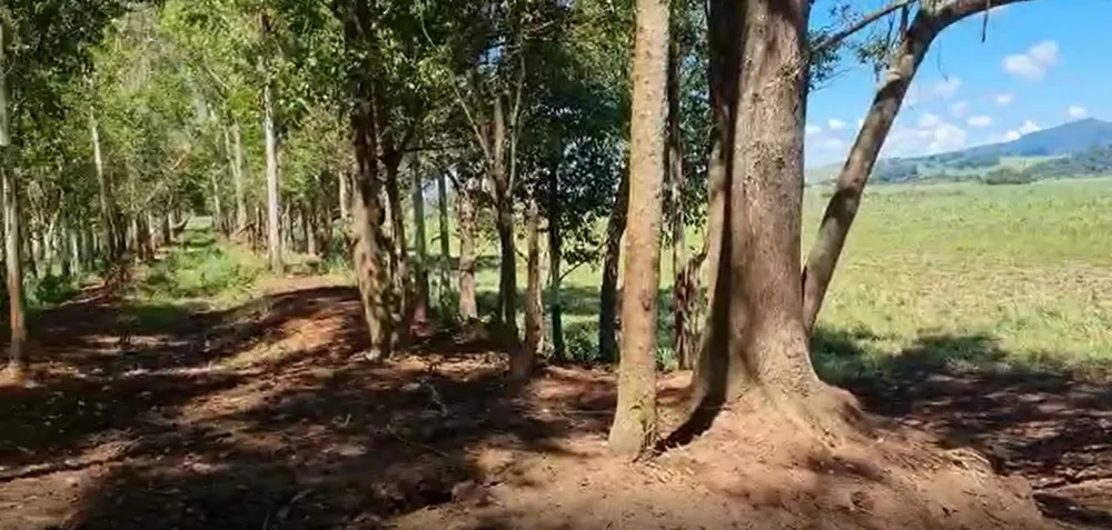 Fazenda, 177 hectares - Foto 10