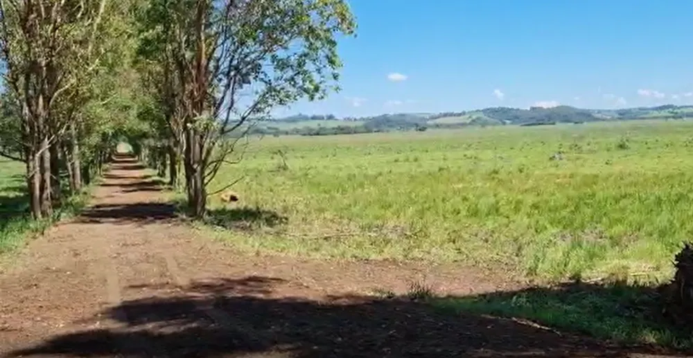 Fazenda, 177 hectares - Foto 11