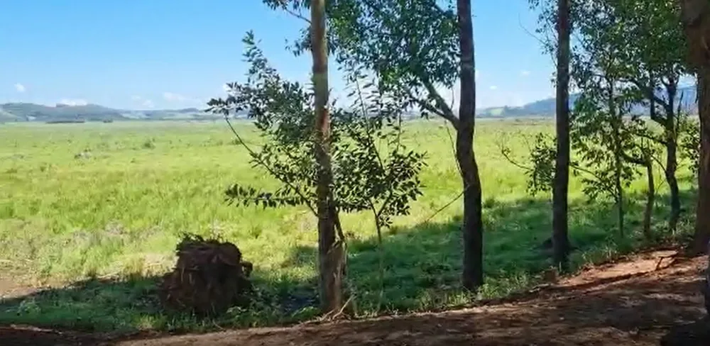 Fazenda, 177 hectares - Foto 9
