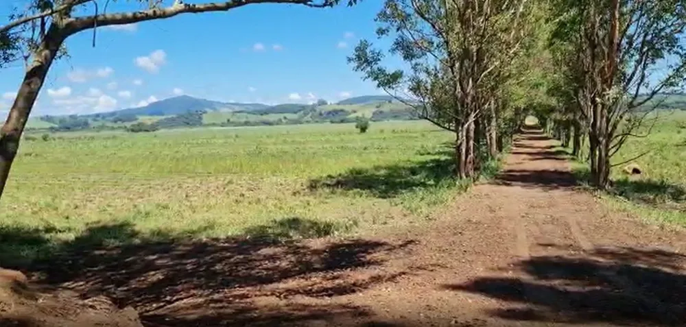 Fazenda, 177 hectares - Foto 15