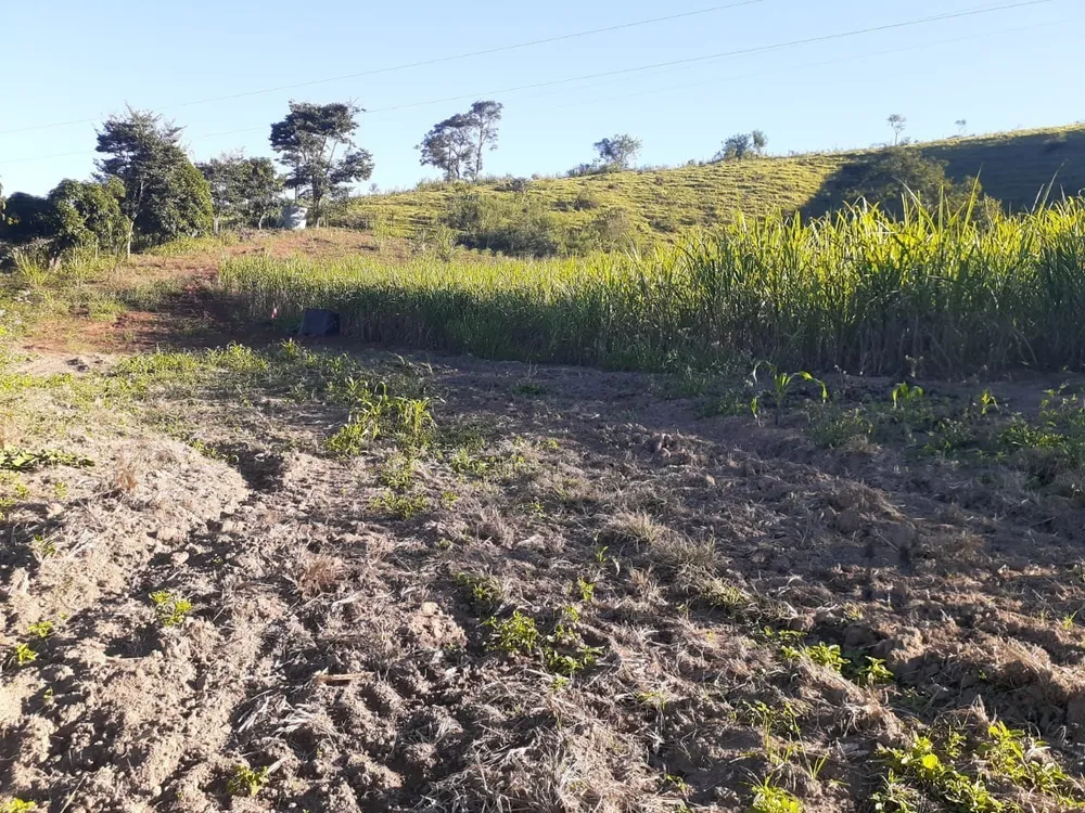 Fazenda, 1 quarto - Foto 8