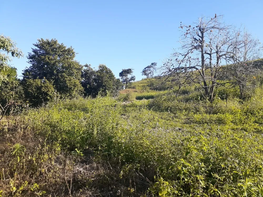 Fazenda, 1 quarto - Foto 5