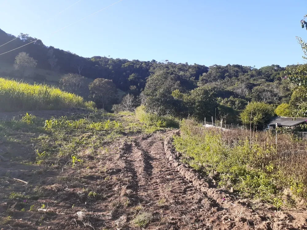 Fazenda, 1 quarto - Foto 4