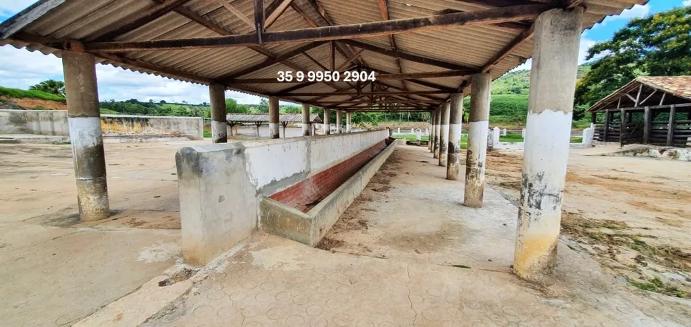 Fazenda, 300 hectares - Foto 12