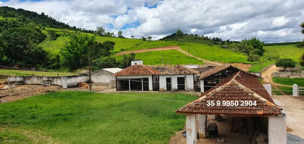 Fazenda, 300 hectares - Foto 9