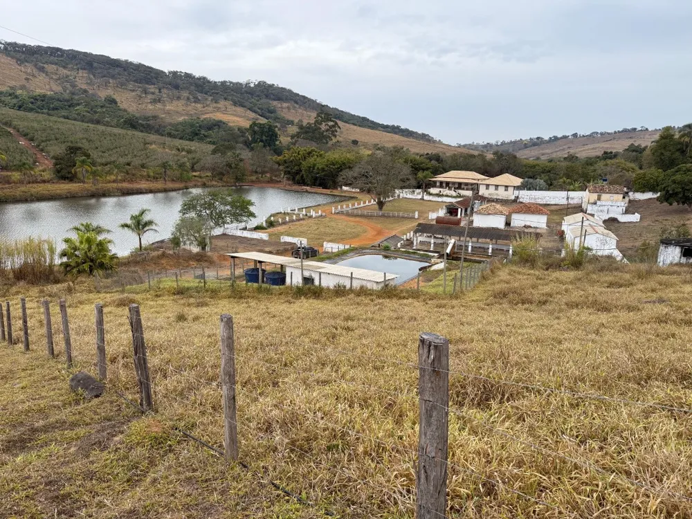 Fazenda, 300 hectares - Foto 4