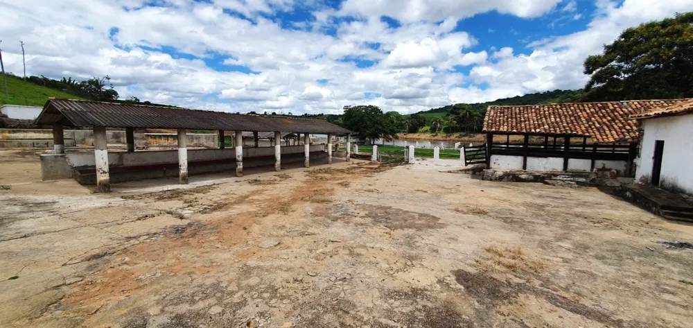 Fazenda, 300 hectares - Foto 25