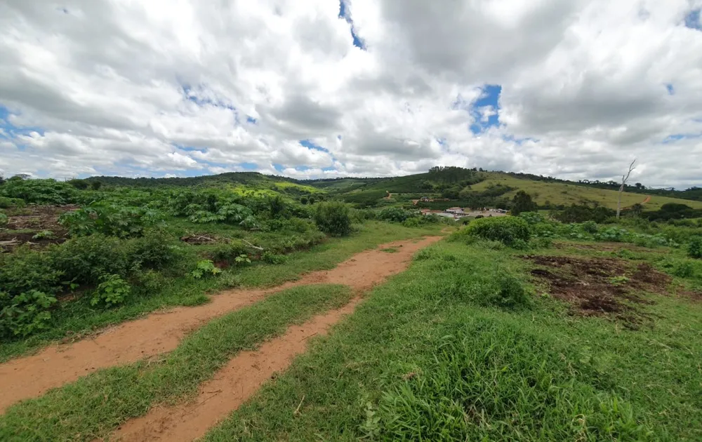 Fazenda, 300 hectares - Foto 12