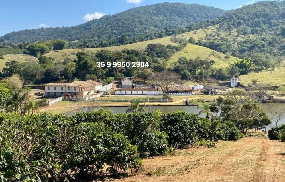 Fazenda, 300 hectares - Foto 1