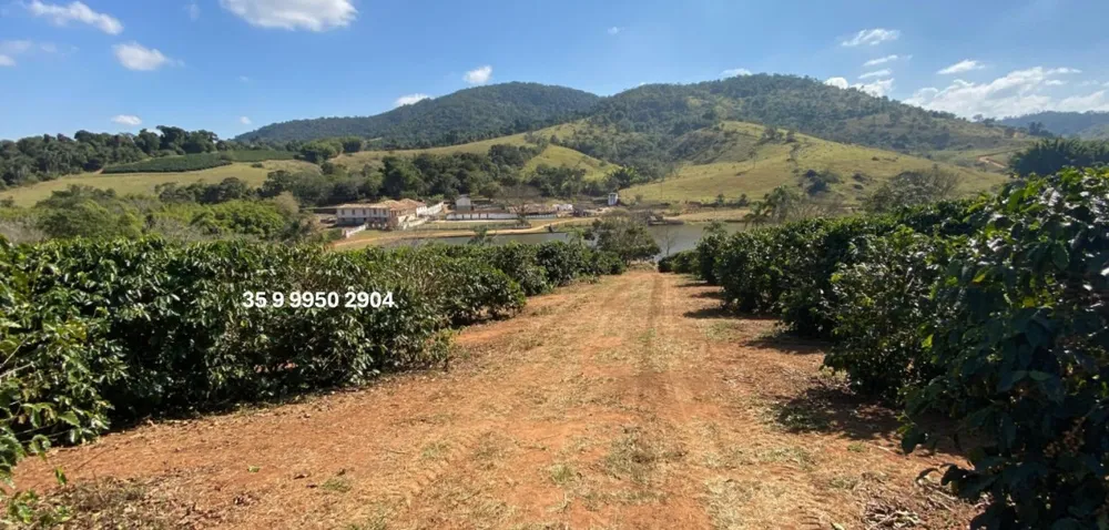 Fazenda, 300 hectares - Foto 2