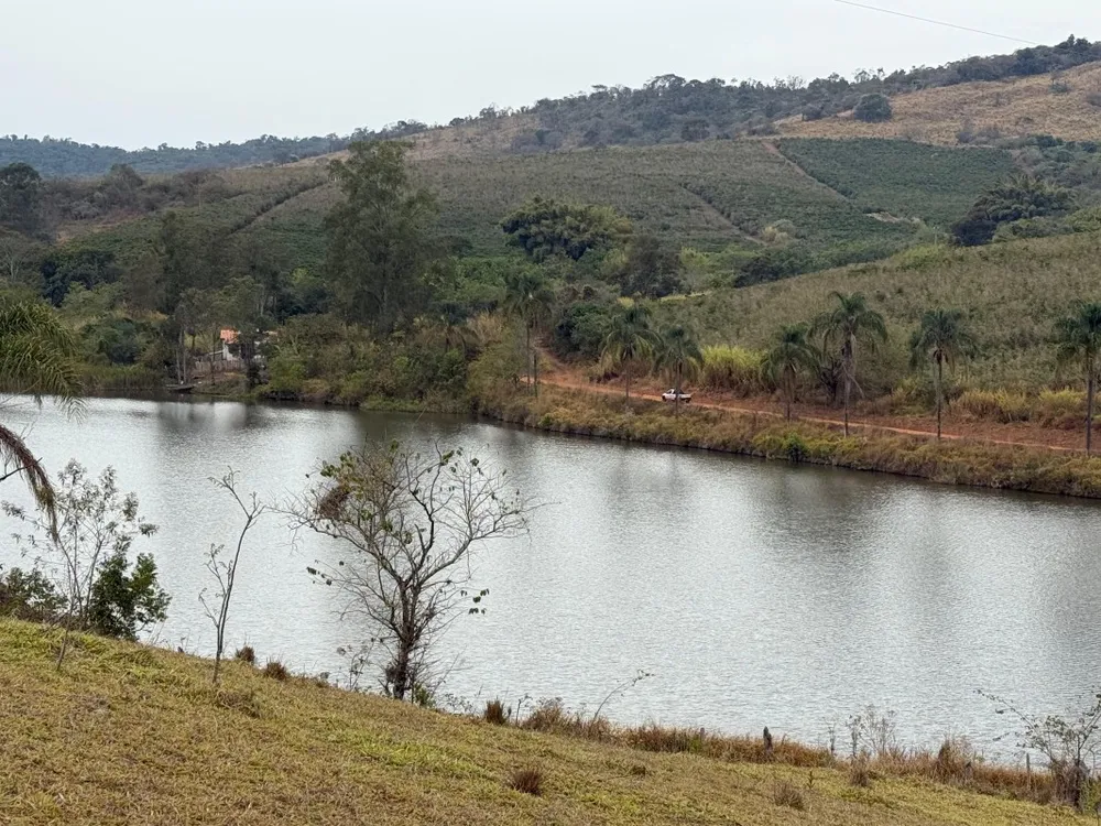 Fazenda, 300 hectares - Foto 11