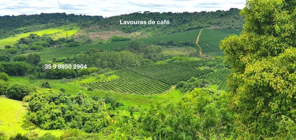 Fazenda, 300 hectares - Foto 6