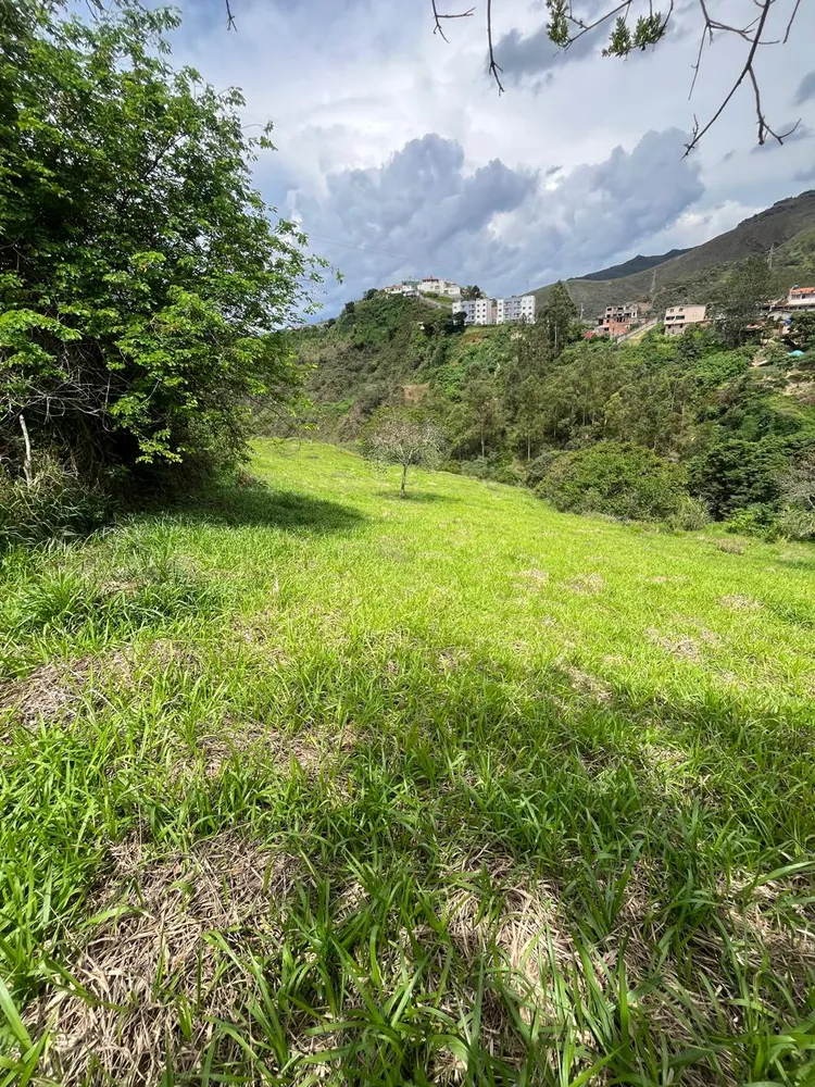 Terreno, 4177 m² - Foto 4