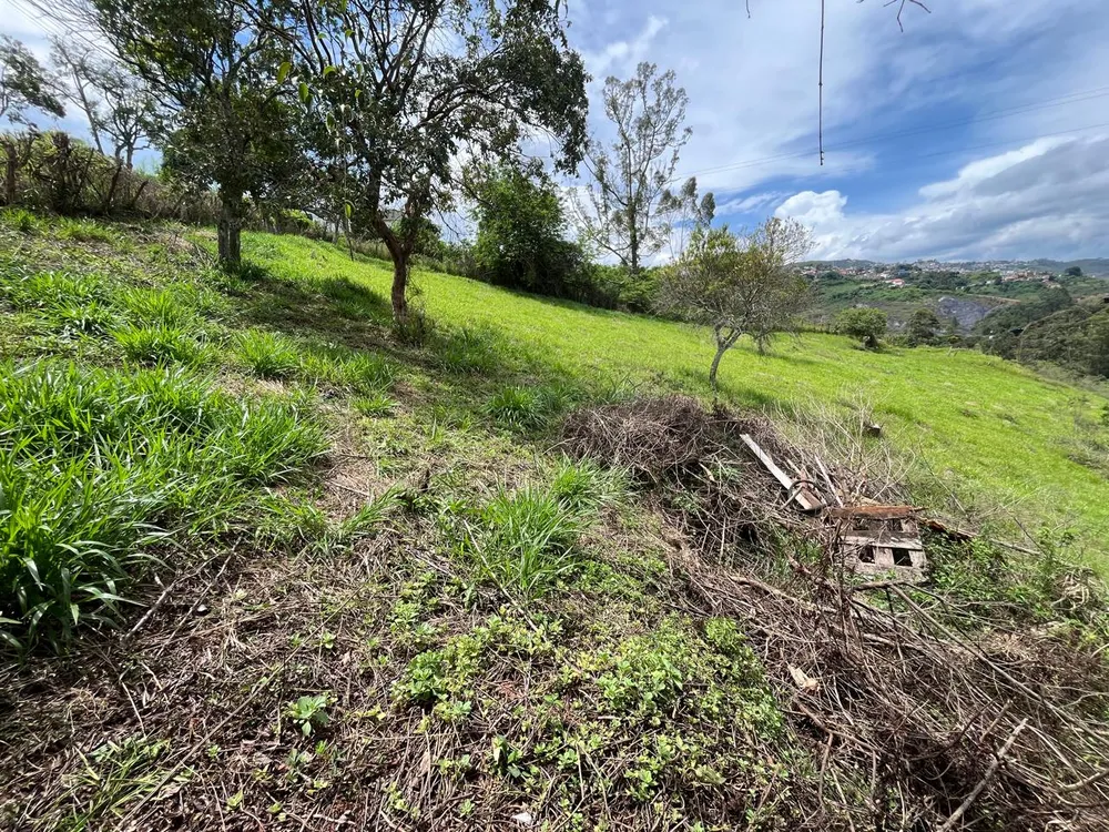 Terreno, 4177 m² - Foto 6