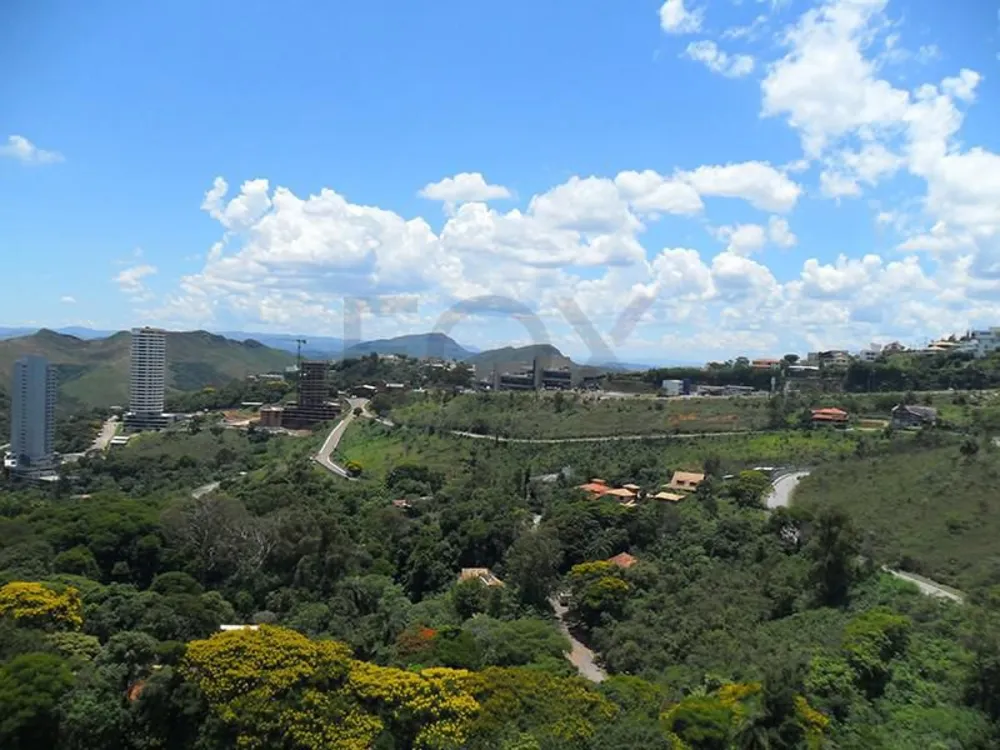 Apartamento, 4 quartos, 162 m² - Foto 5
