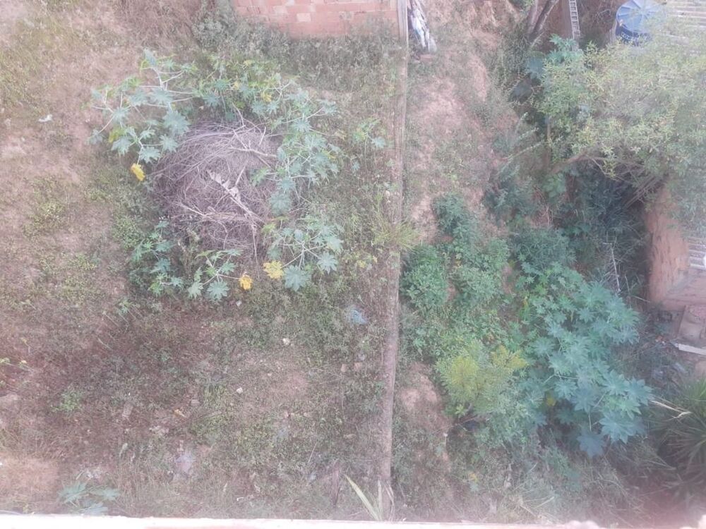 Terreno à venda - Foto 10