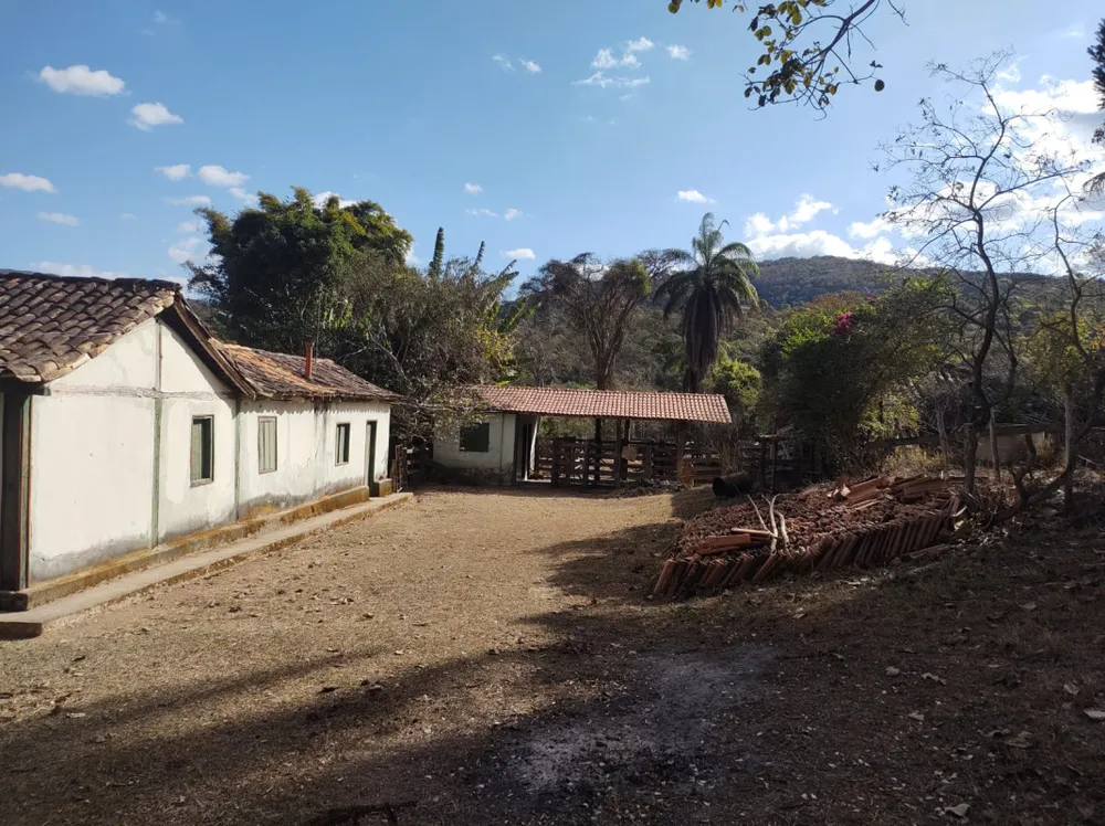 Fazenda, 96 hectares - Foto 6