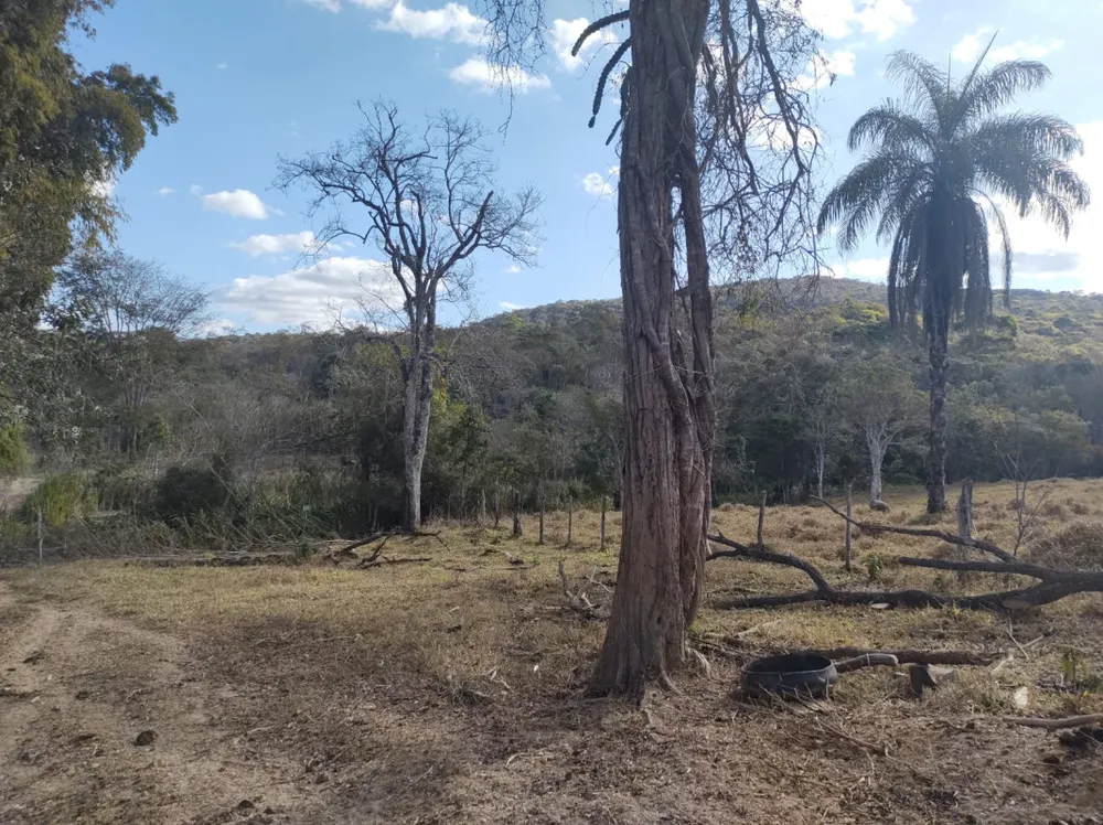 Fazenda, 96 hectares - Foto 4